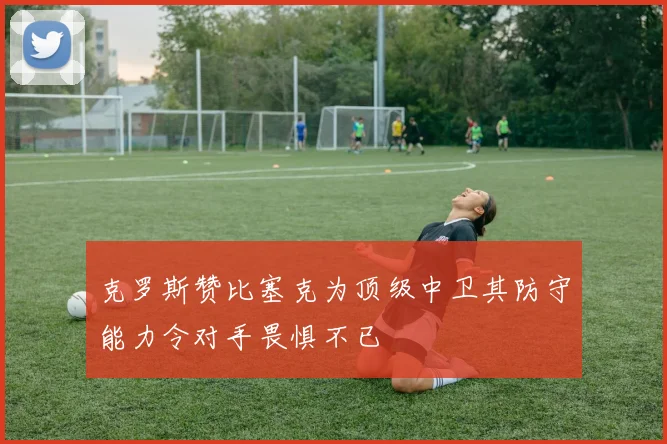 克罗斯赞比塞克为顶级中卫其防守能力令对手畏惧不已